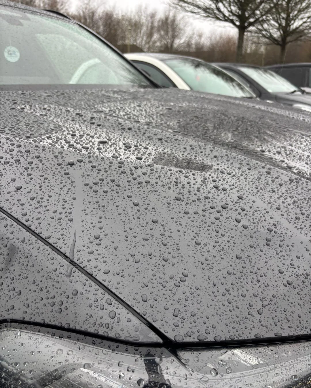 Close-up of a gray car's hood covered in raindrops, with other parked cars and leafless trees in the background.