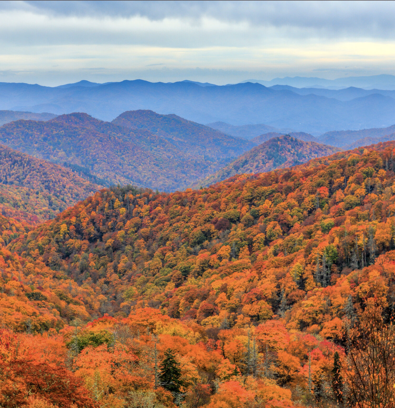 Real estate guidance for Smoky Mountain investment properties in Sevier County, Tennessee, including Pigeon Forge, Gatlinburg, and Sevierville.