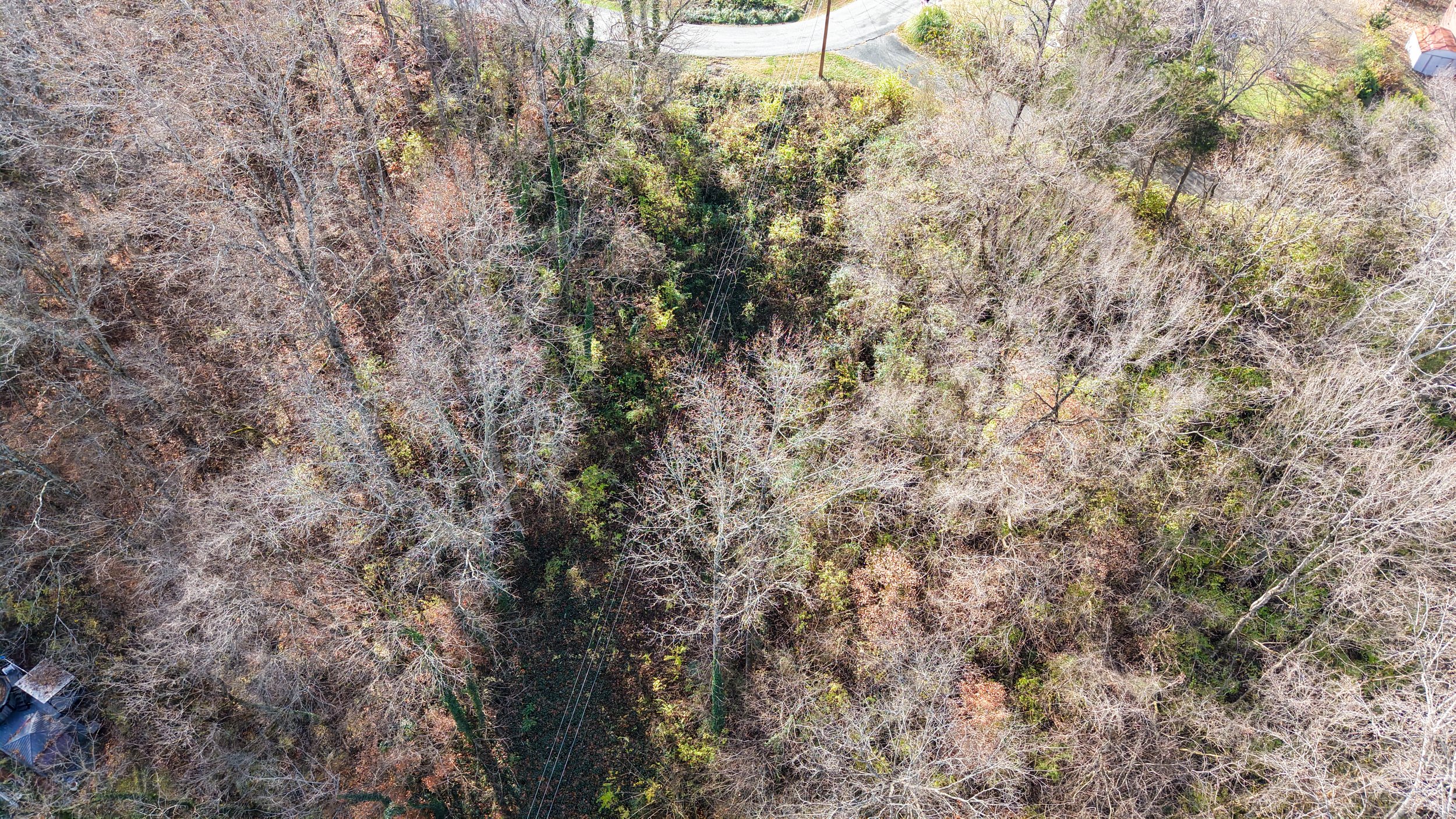 dji_fly_20251126_124816_0462_1764179462080_photo 2.JPG