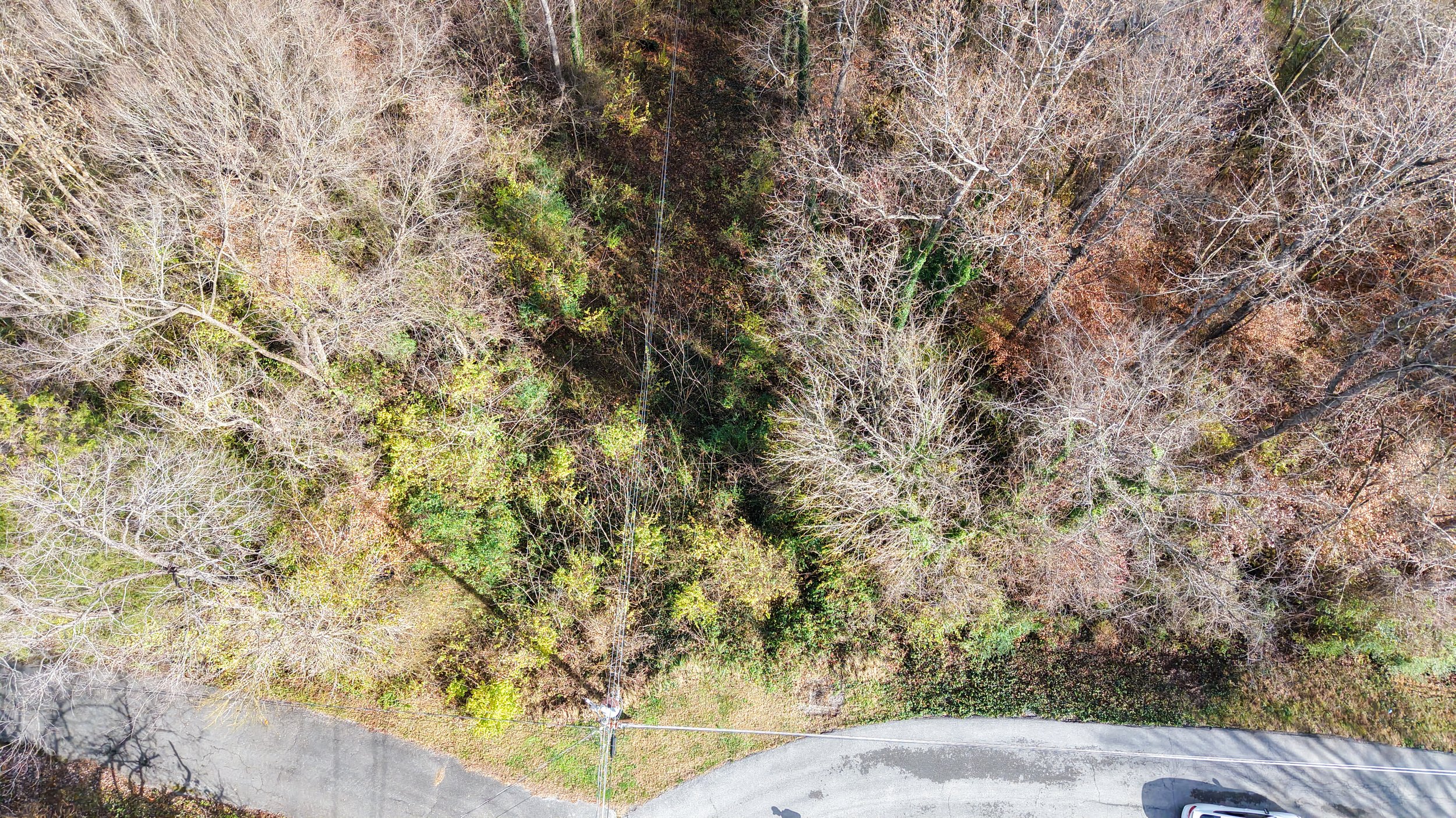 dji_fly_20251126_124252_0452_1764179471618_photo 2.JPG