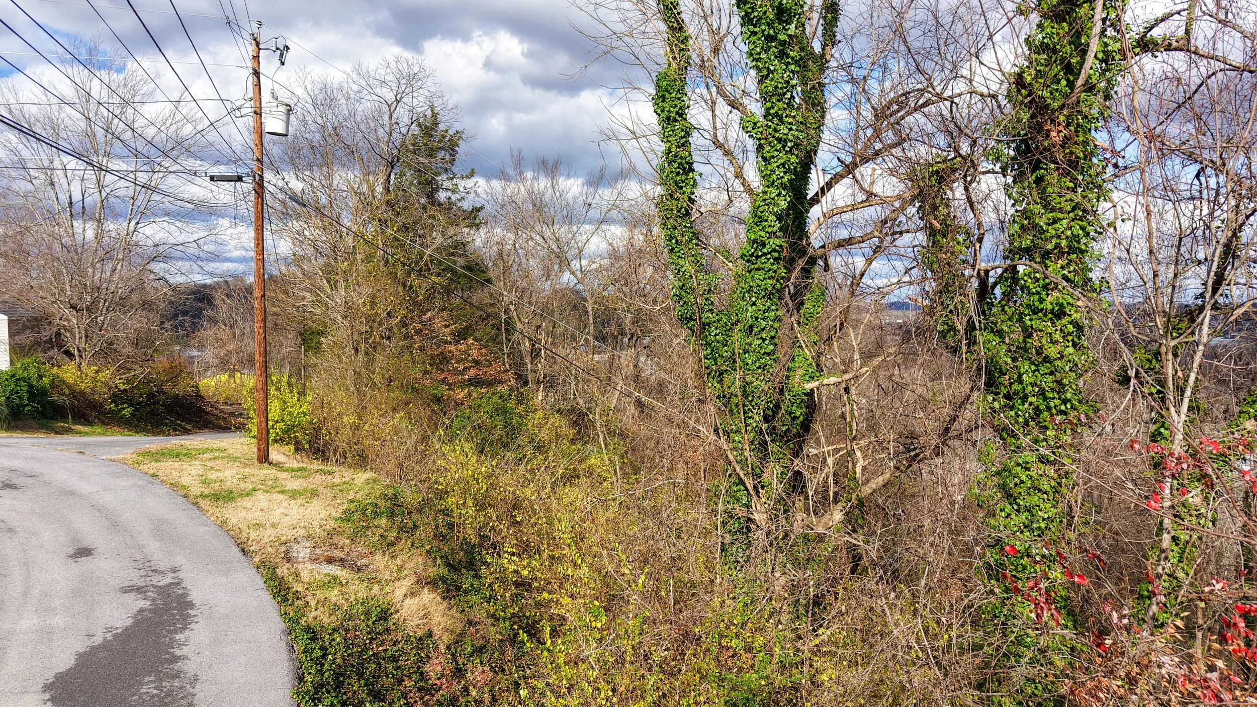 dji_fly_20251126_124608_0459_1764179464825_photo 2.JPG
