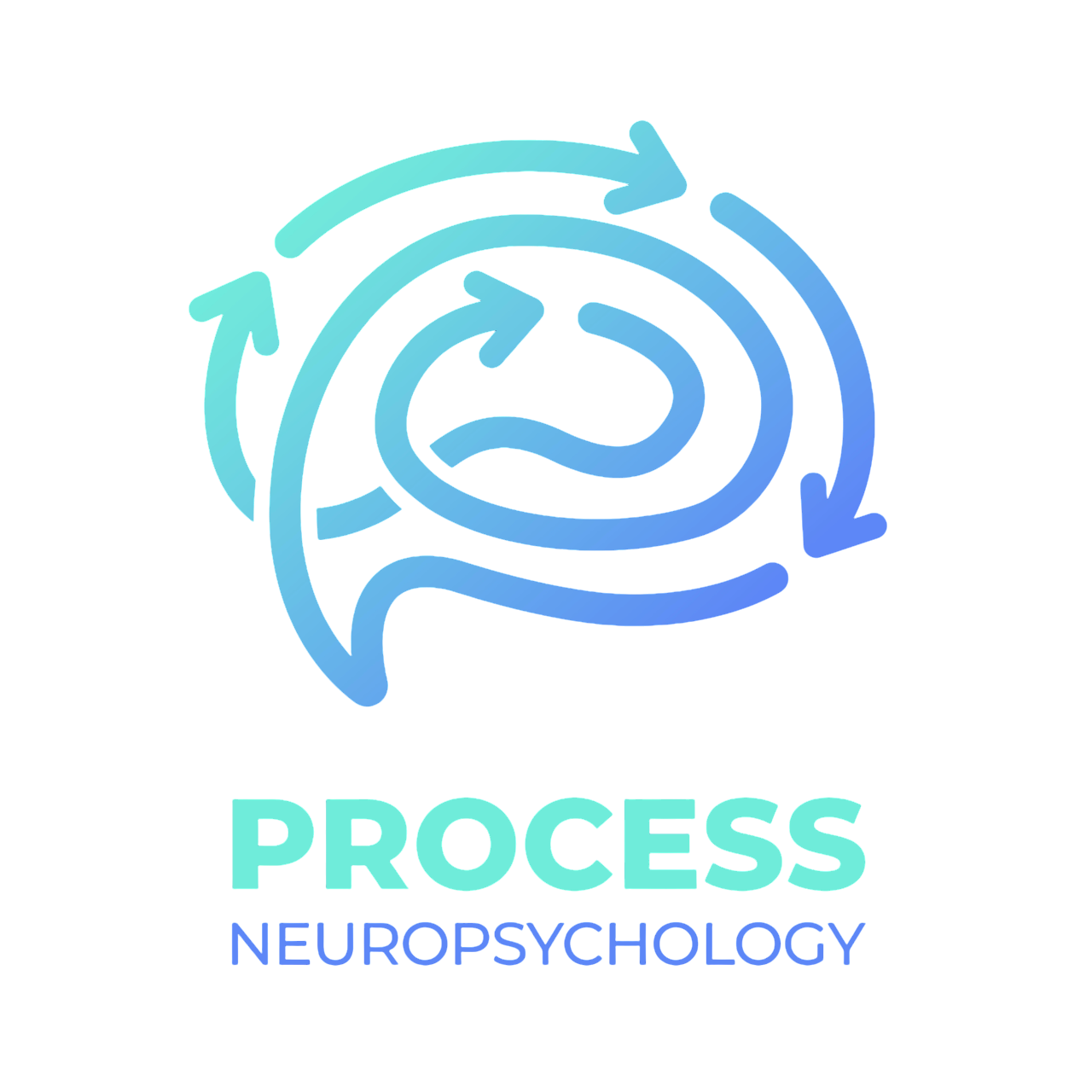 A logo with a stylized spiral arrow design and the words "Process Neuropsychology" below in light blue and dark blue text.