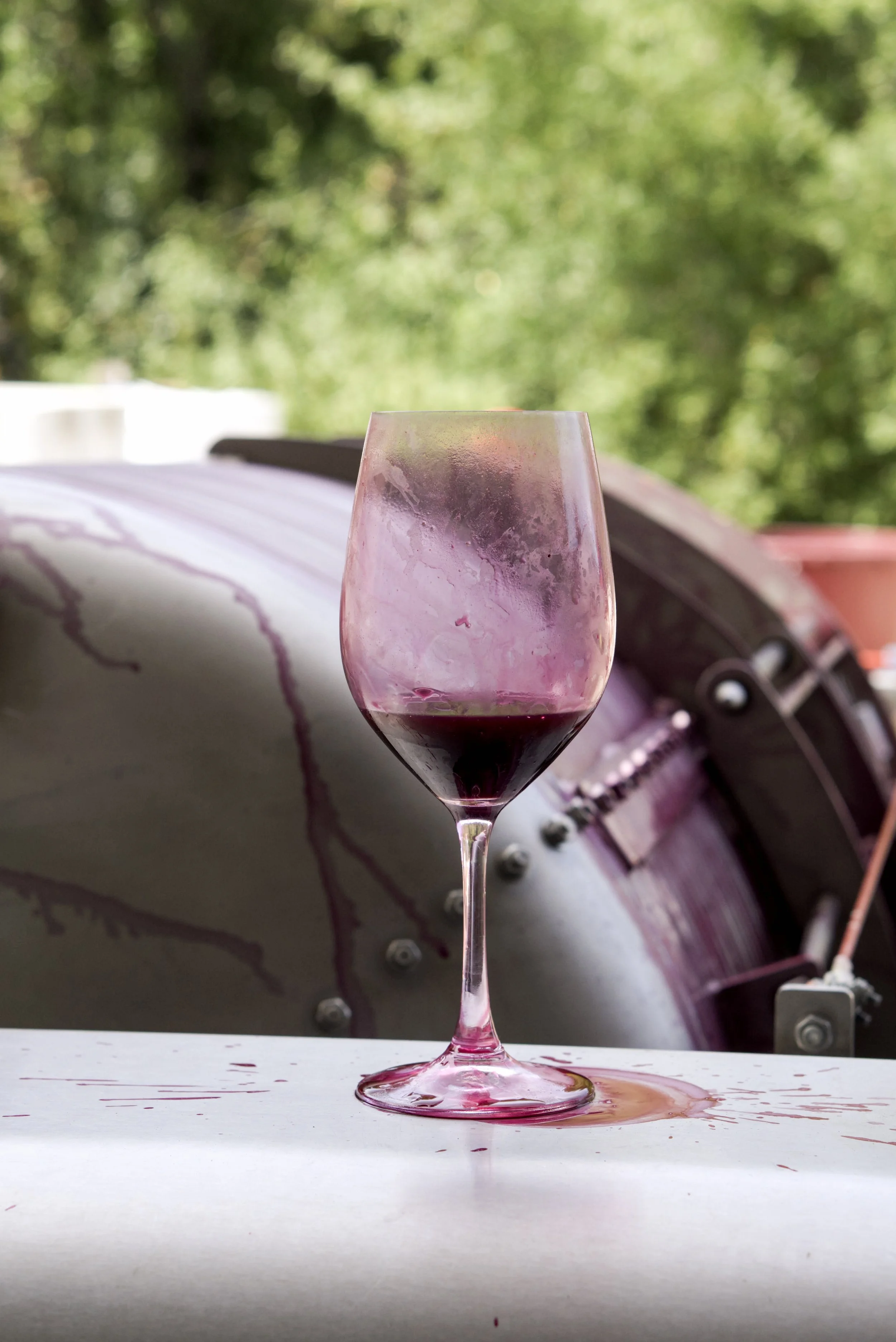 DSC06388_ARW (3).jpg