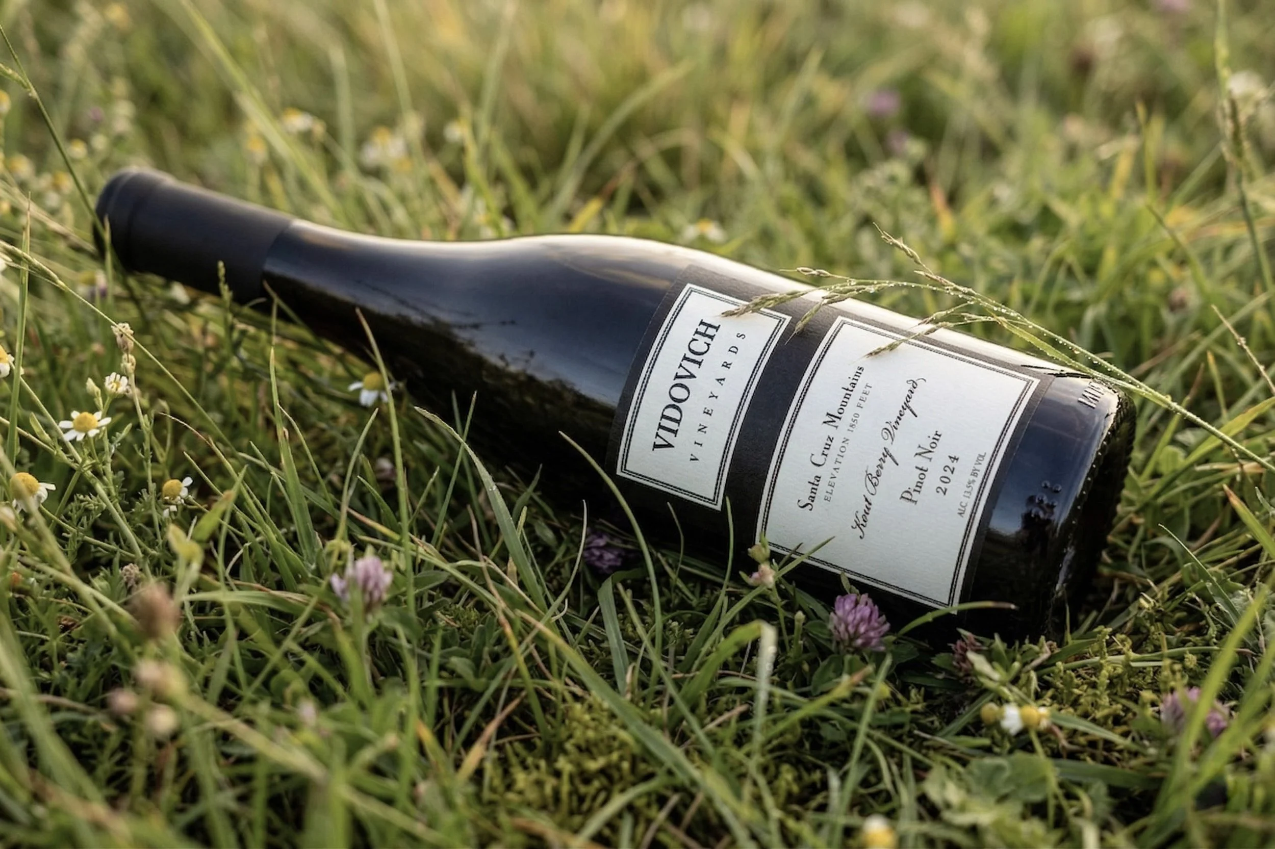 Gemini_Generated_Image_pumgncpumgncpumg (1).jpg