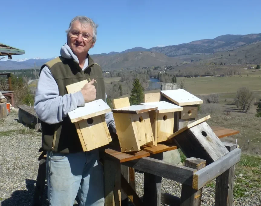 Pines &amp; Pints: Hazard Trees and Wildlife Habitat