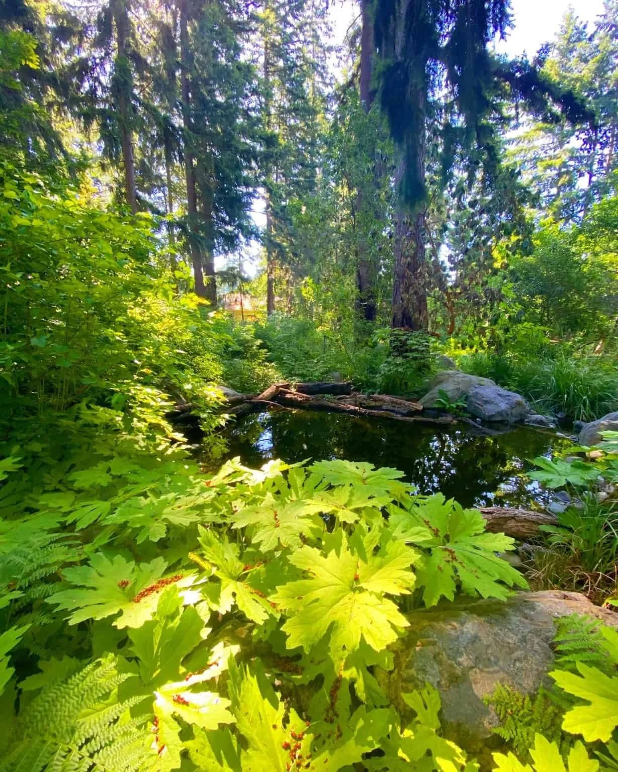 Kruckeberg Botanic Gardens with Walt Bubelis and Van Bobbitt