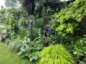 Plant Walk: Alex LaVilla’s Garden