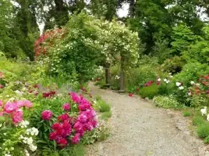 Plant Walk: Soos Creek Botanical Gardens with Patrick Storey