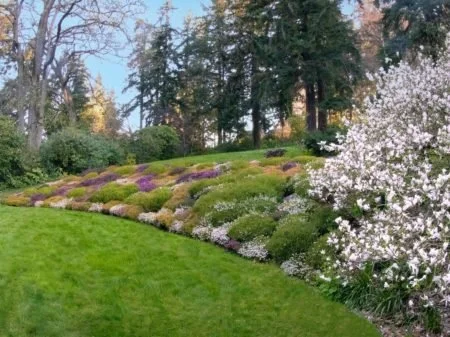Plant Walk: Dunn Gardens with Michelle Rau