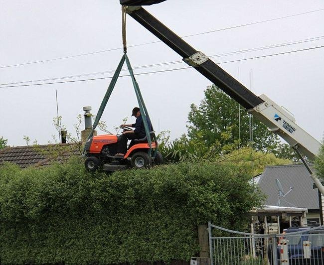 Master Pruner Class: Hedging Your Bets - Pruning Art or Pruning Horror?