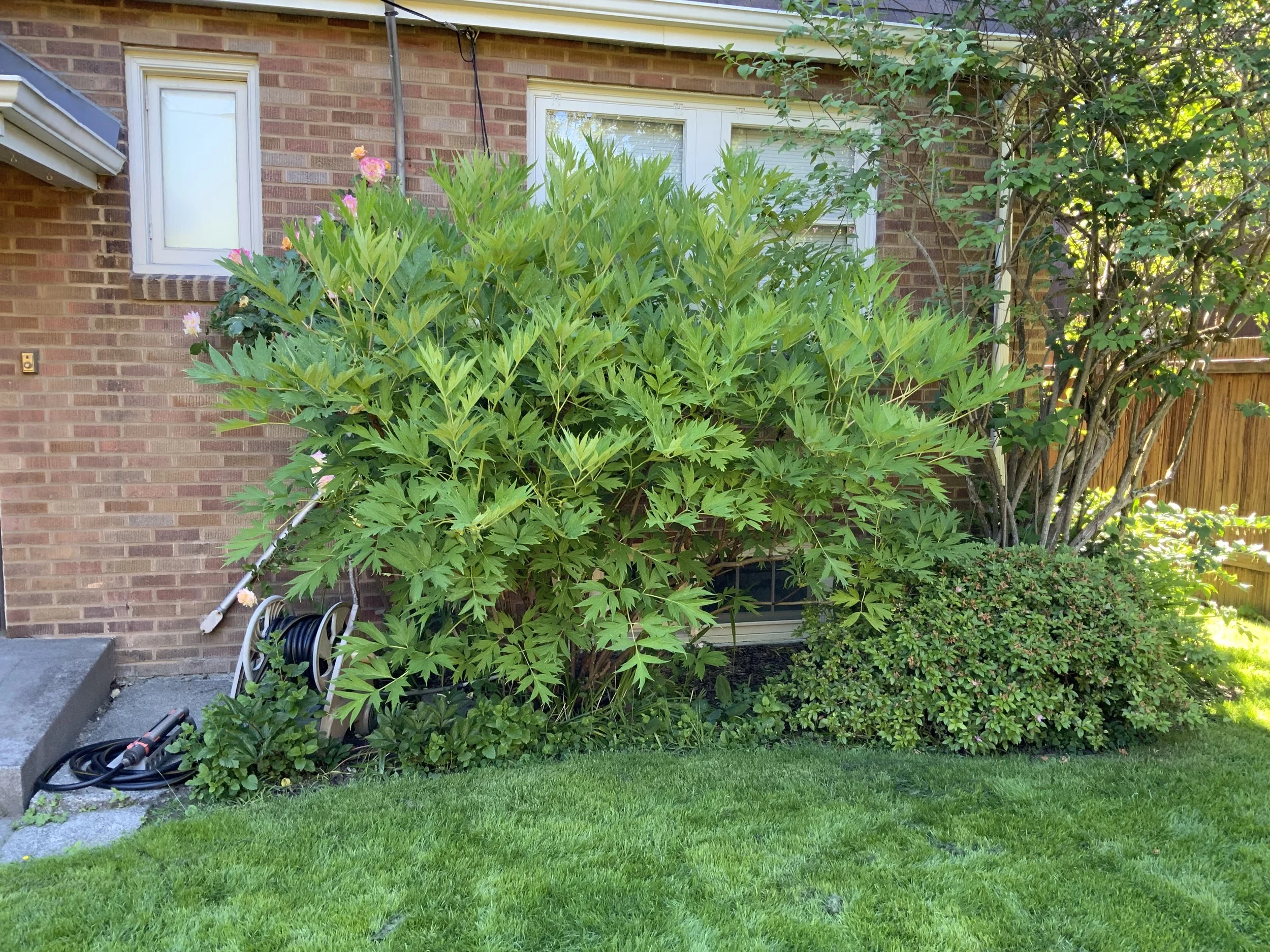 Ravenna Adopt-A-Plant 
