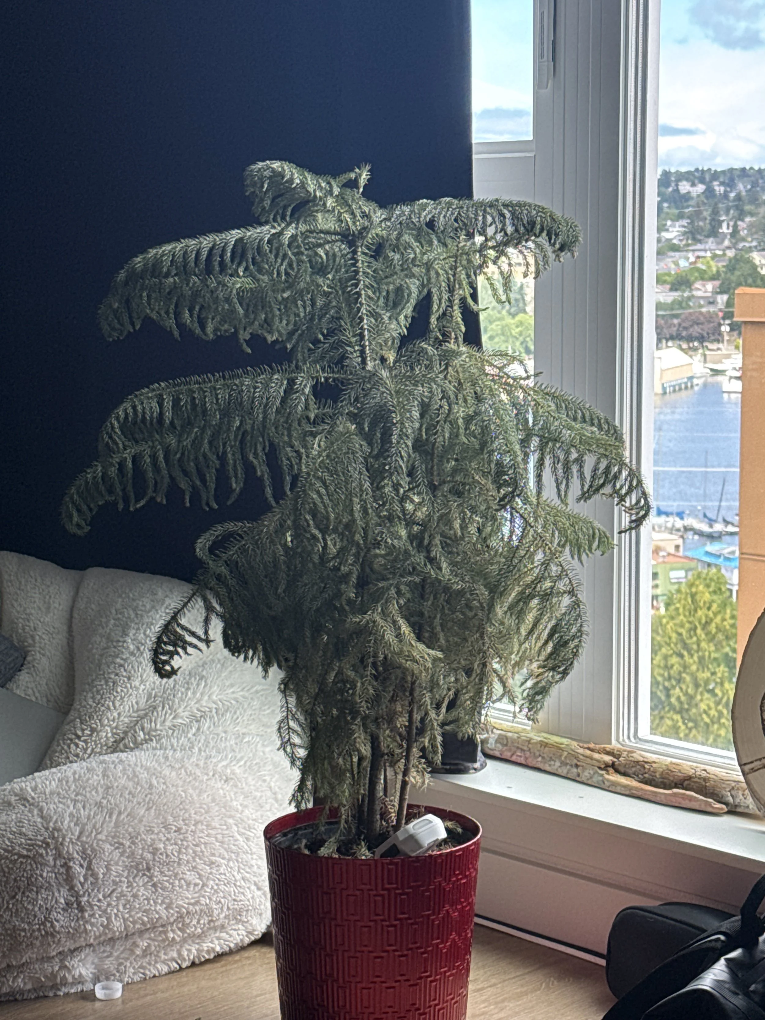 Eastlake Adopt-A-Plant 