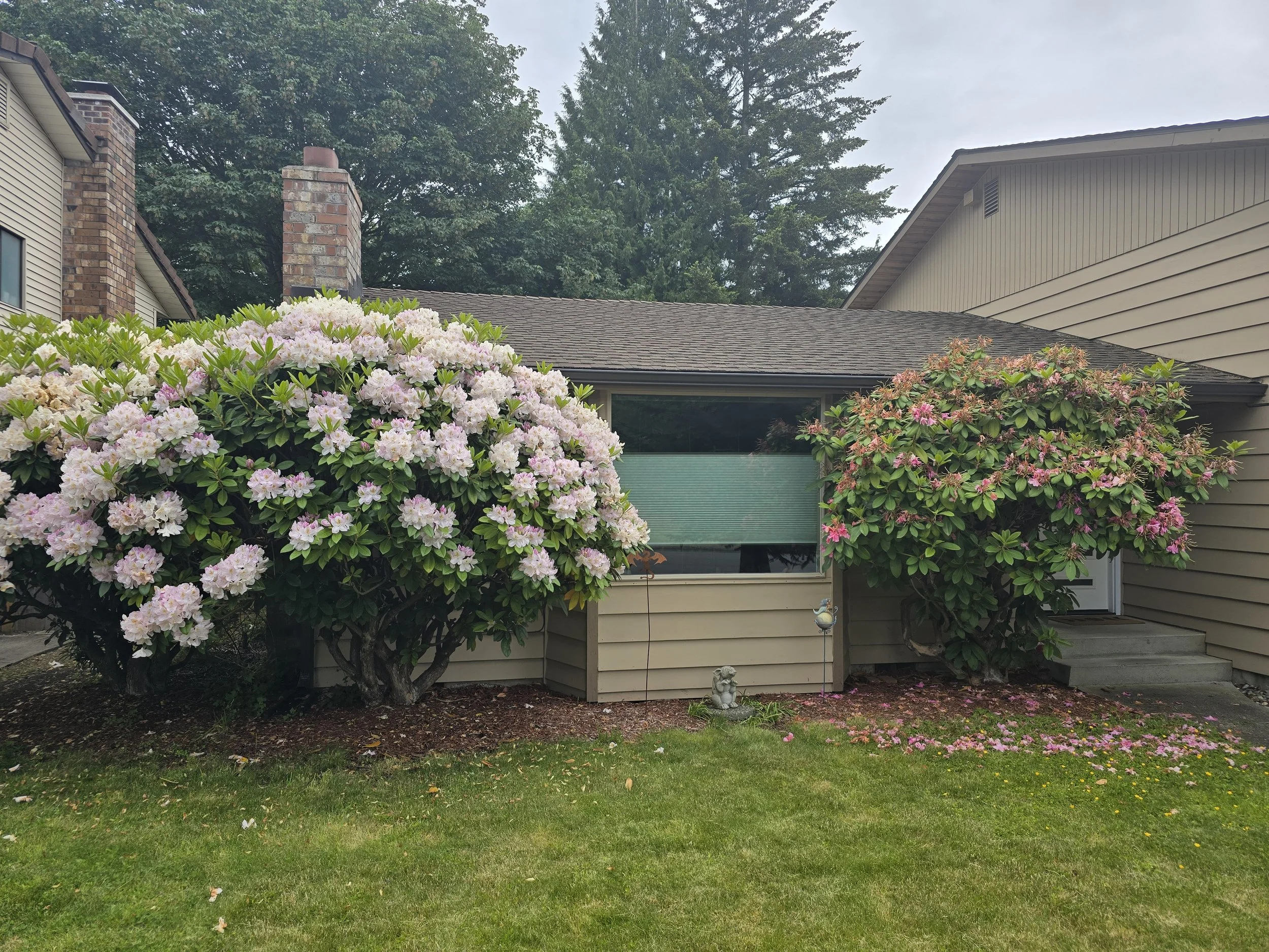 South Everett Adopt-A-Plant 