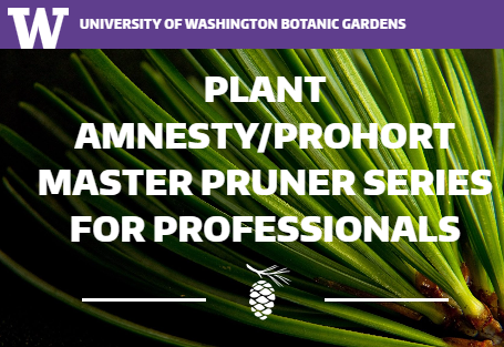 Master Pruner Class: Tree Pruning III – Specialized Pruning Strategies
