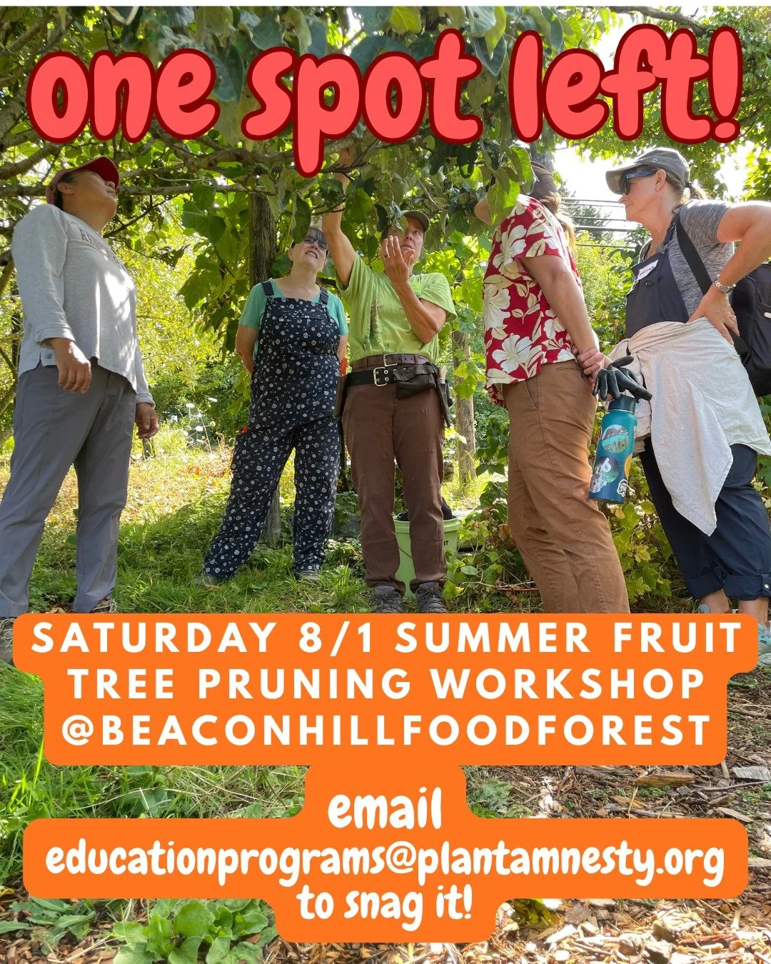 Visit plantamnesty.org to learn what our workshops are all about!