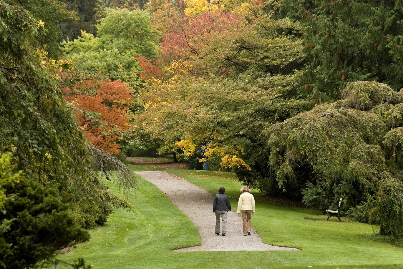 Plant Walk: The Pinetum with Walt Bubelis and Van Bobbitt