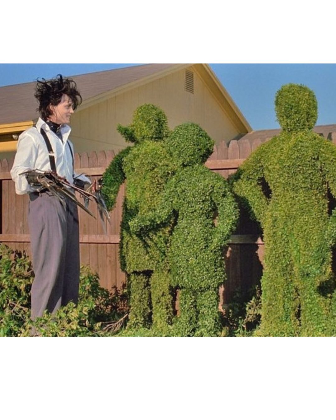 Help us help Ed learn proper pruning techniques. Buy tickets to our biggest FUNdraiser of the year, Tree Hugger Bingo!
https://www.plantamnesty.org/all-upcoming-events-classes/ygf1r4r5wljyloyxn6ntx5htiv2cts-3xk9z-zzkwa