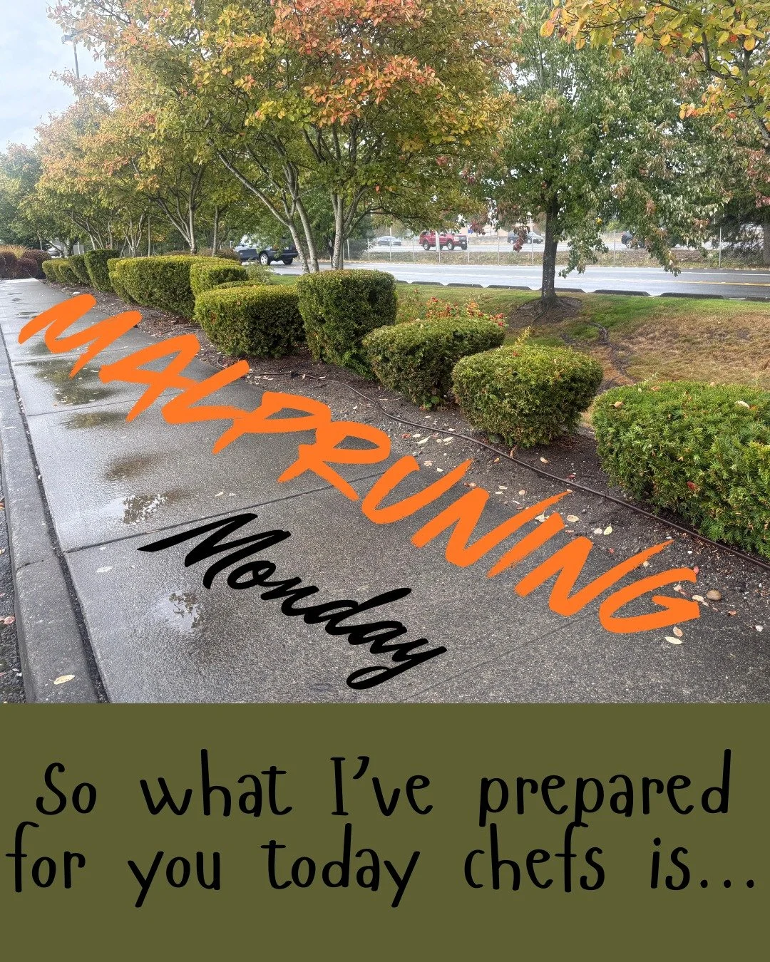 Deconstructed Hedge, viola! 

Yews are a great candidate for hedges since they're one of the only conifers that can sprout from old wood.

Is this deconstructed hedge pruning art or pruning horror? 

Drop your thoughts below and uncover the truth at 
