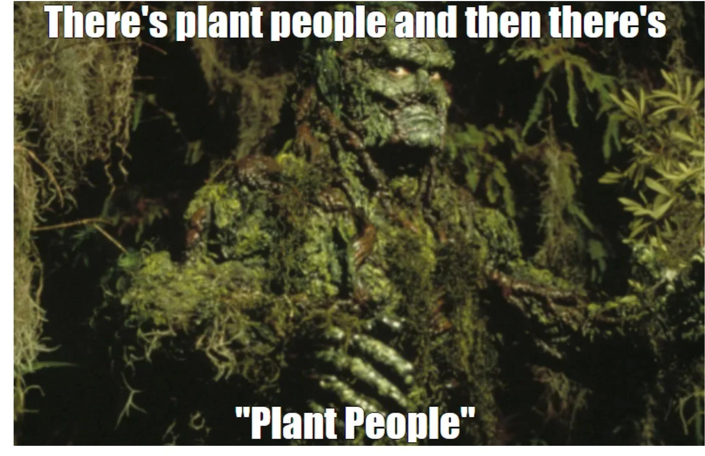 Become a real plant person by buying a ticket to our Tree Hugger Bingo! 

https://www.plantamnesty.org/all-upcoming-events-classes/ygf1r4r5wljyloyxn6ntx5htiv2cts-3xk9z-zzkwa