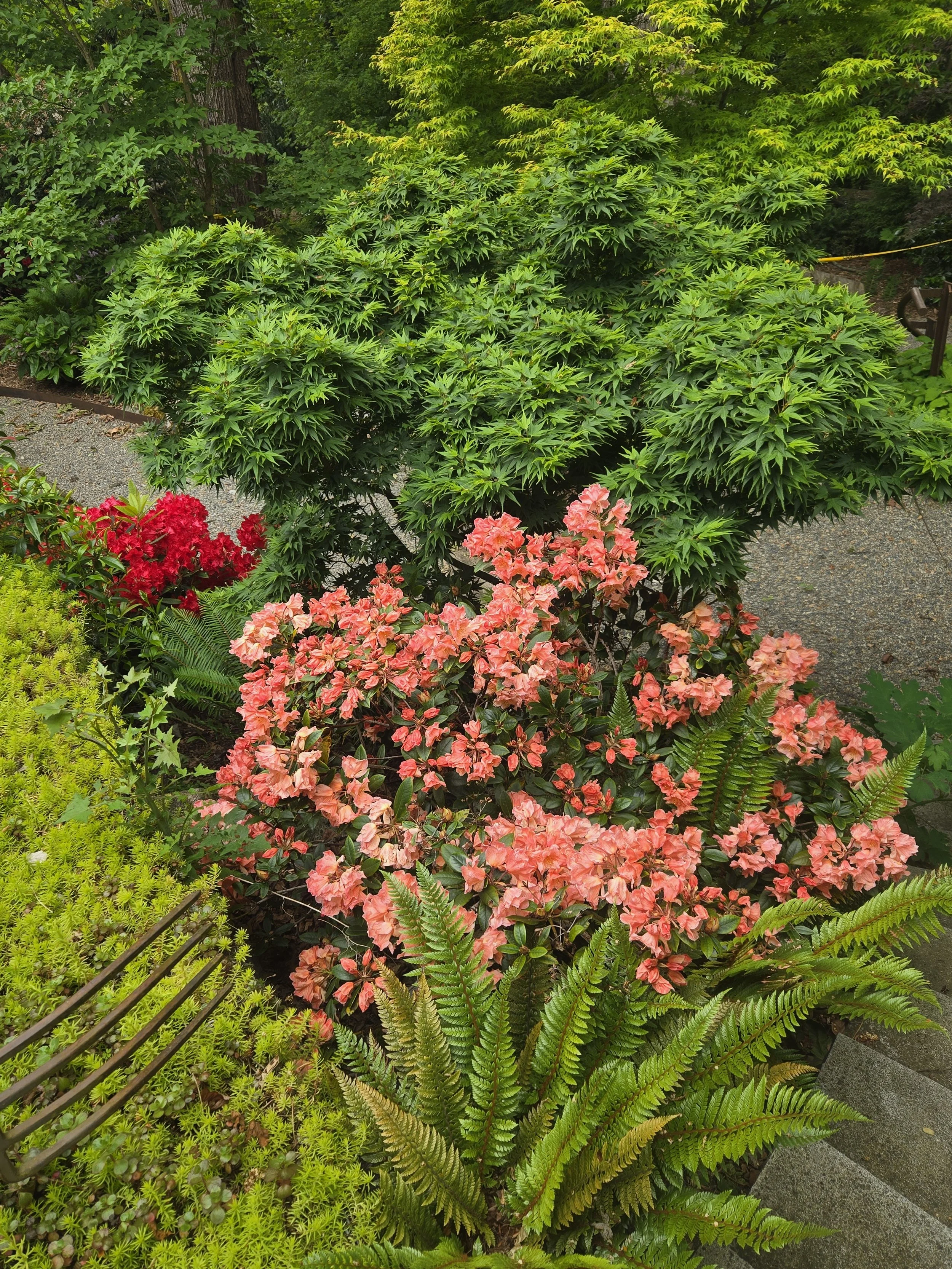 Cass Turnbull Garden