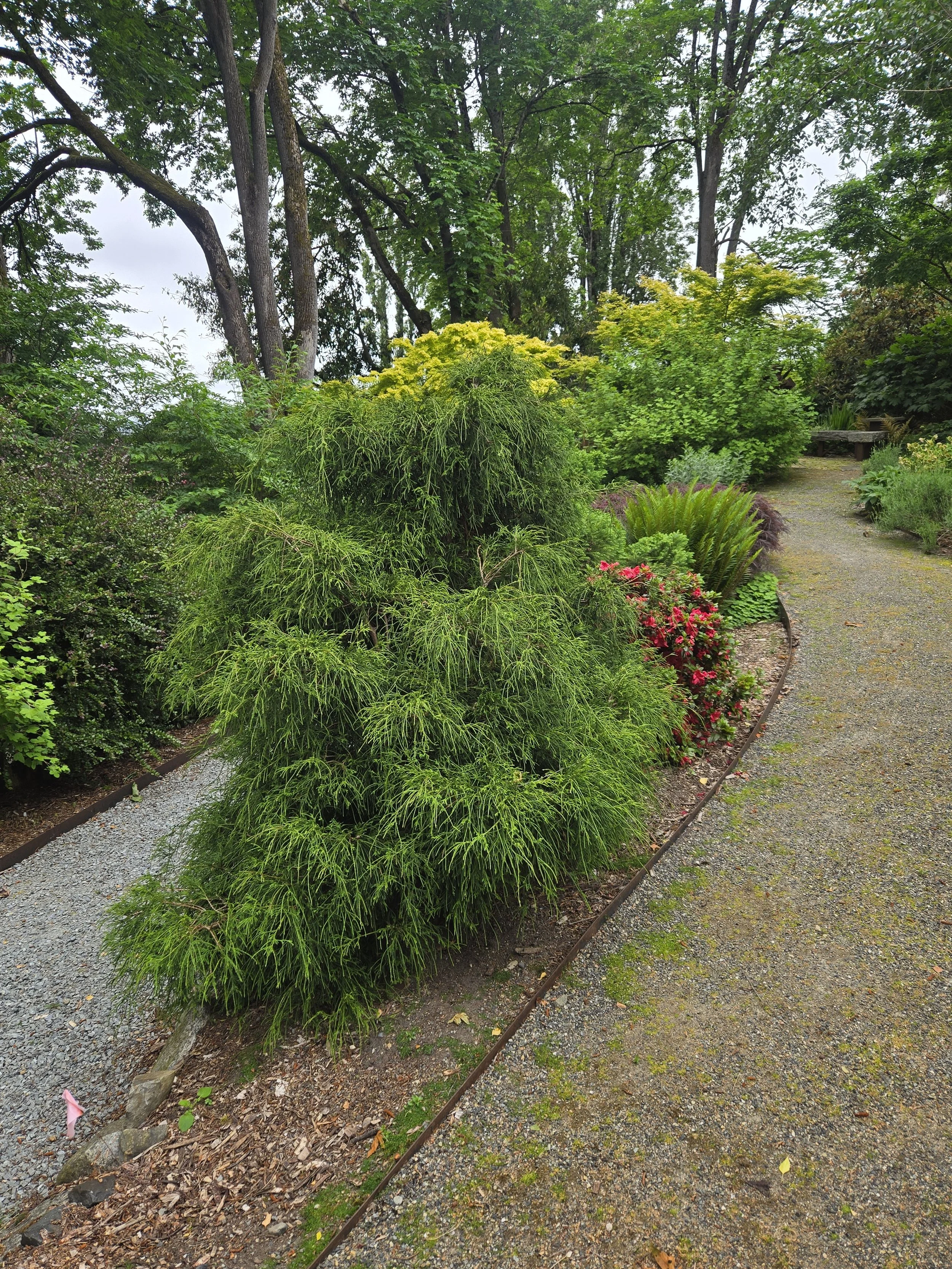 Cass Turnbull Garden