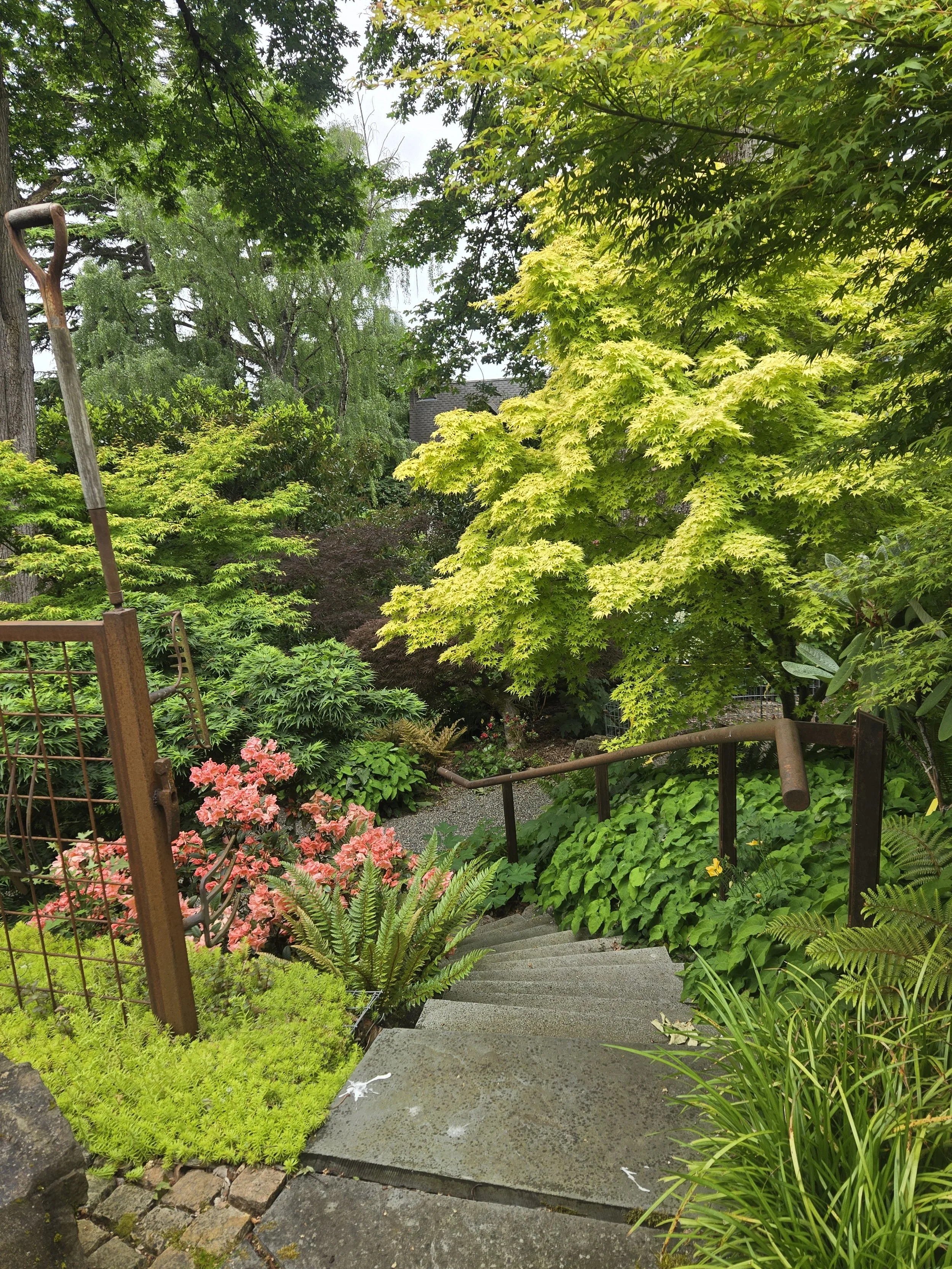 Cass Turnbull Garden