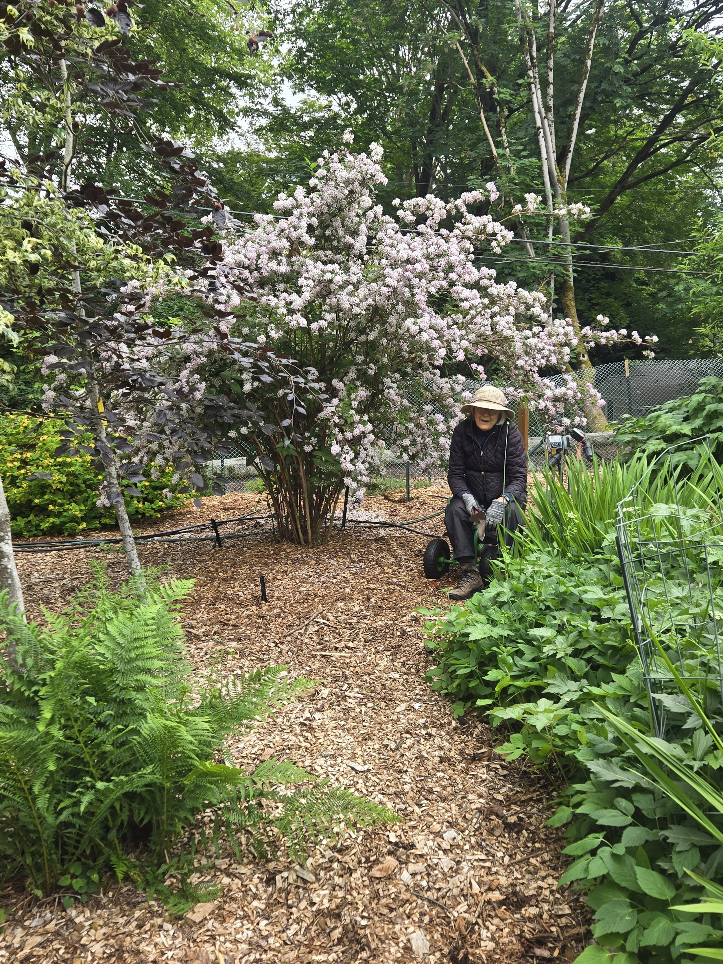 Cass Turnbull Garden