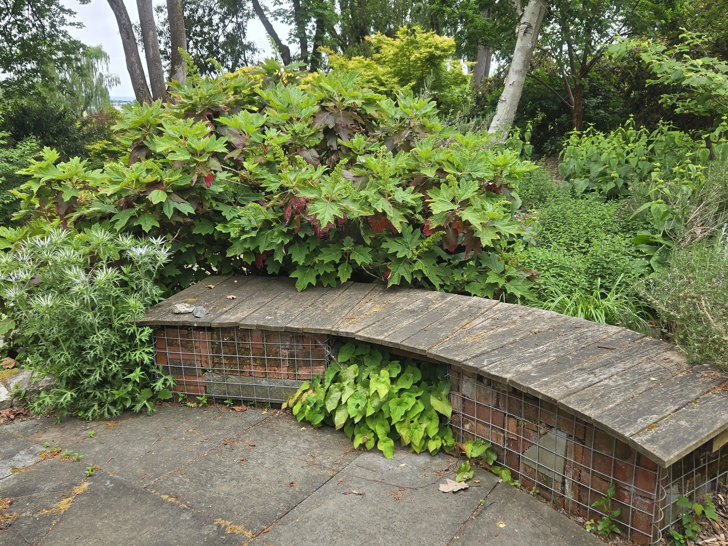 Cass Turnbull Garden
