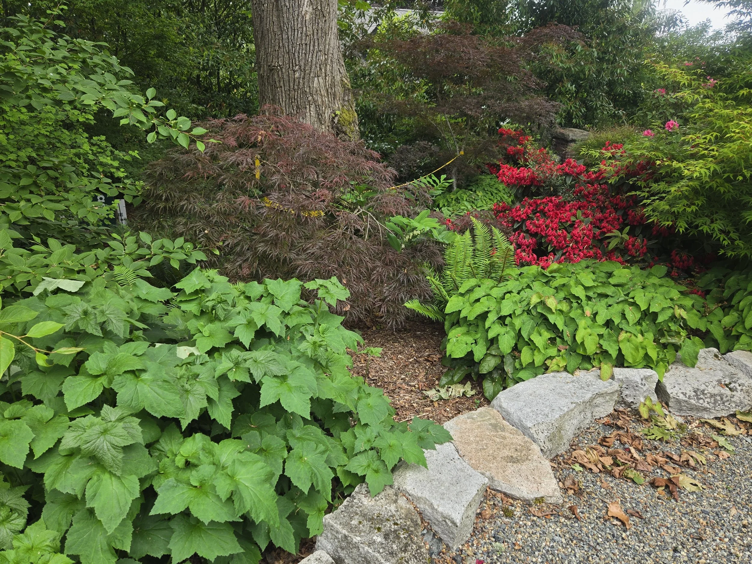 Cass Turnbull Garden