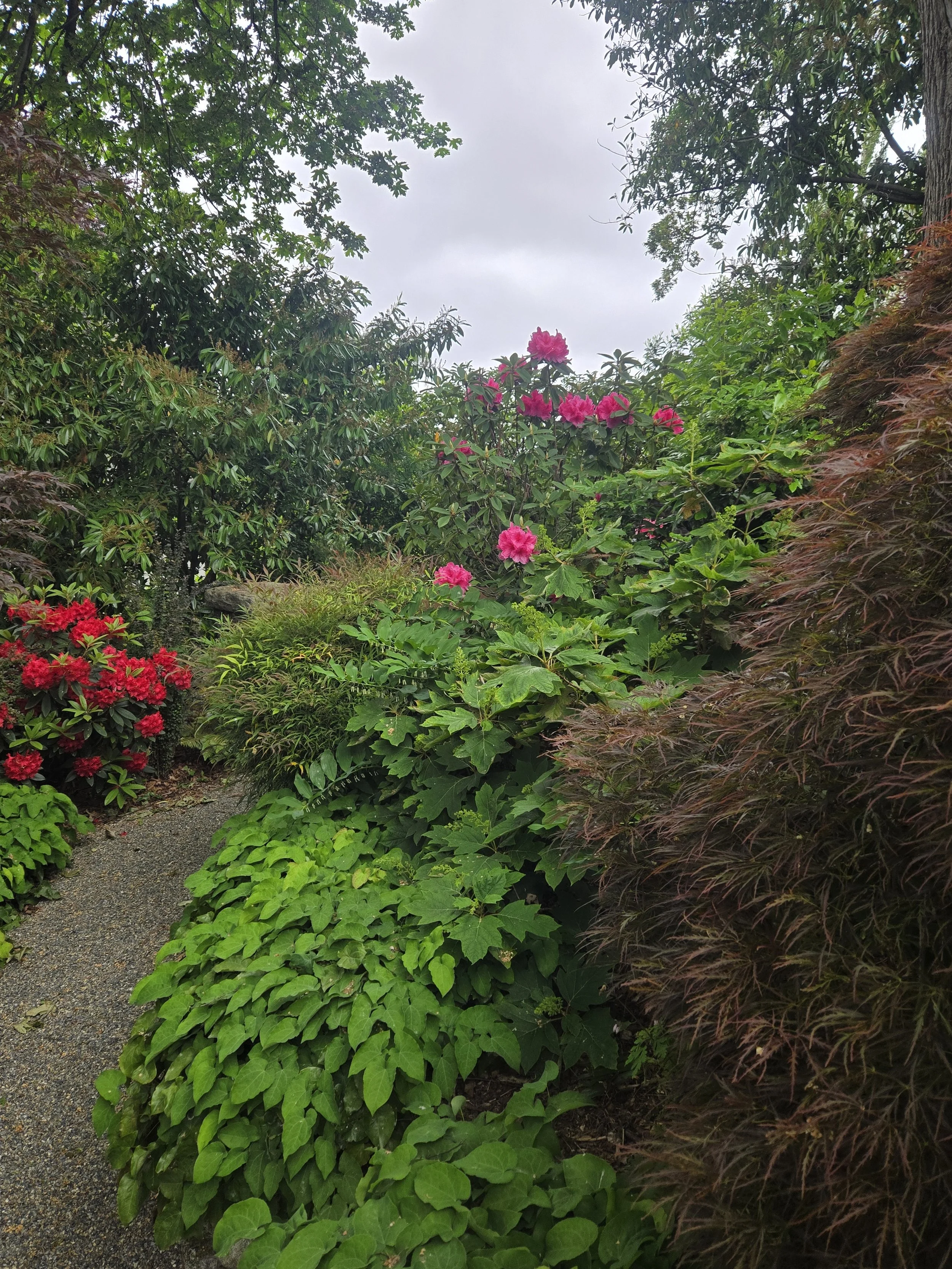 Cass Turnbull Garden