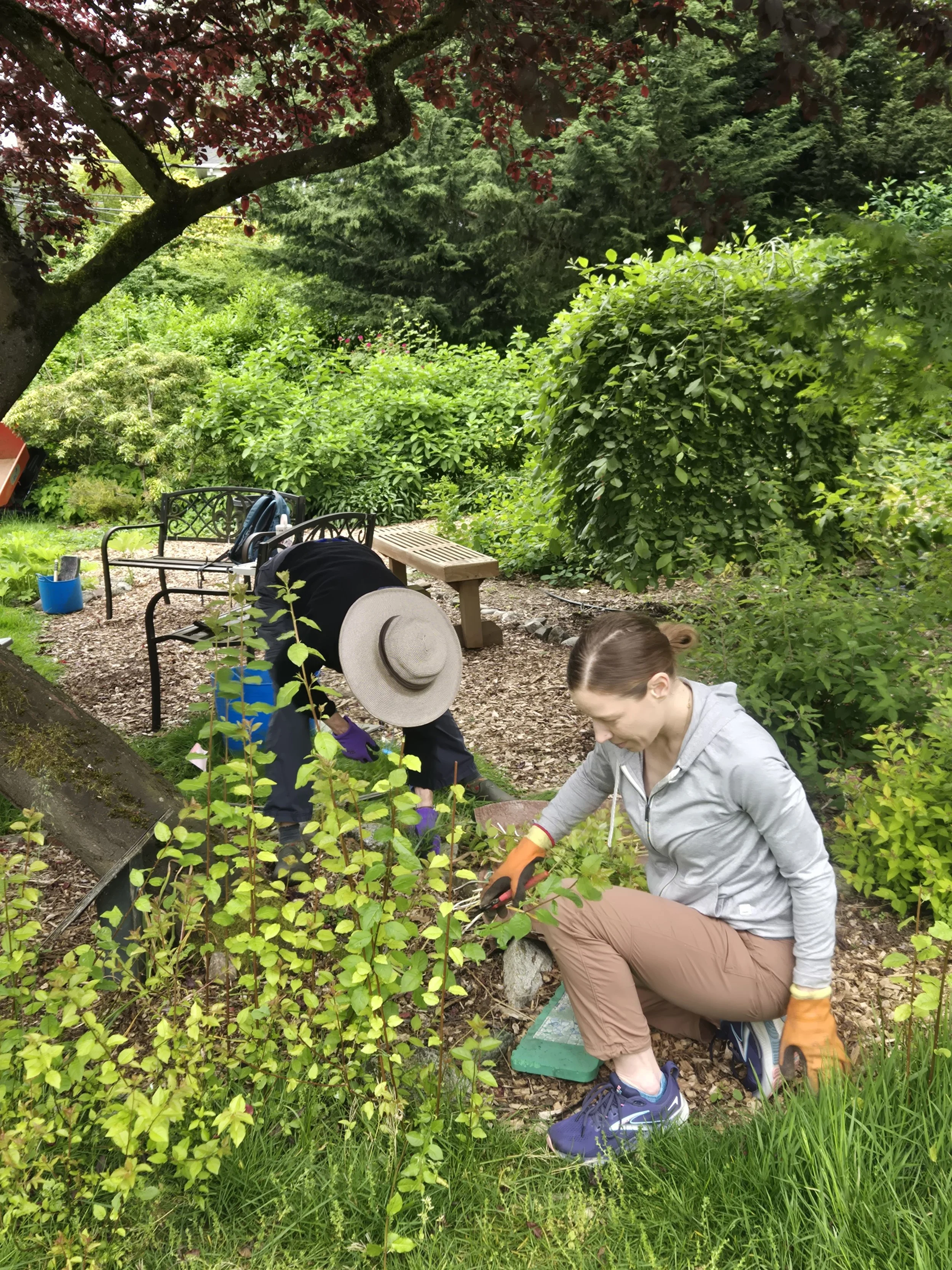 Cass Turnbull Garden