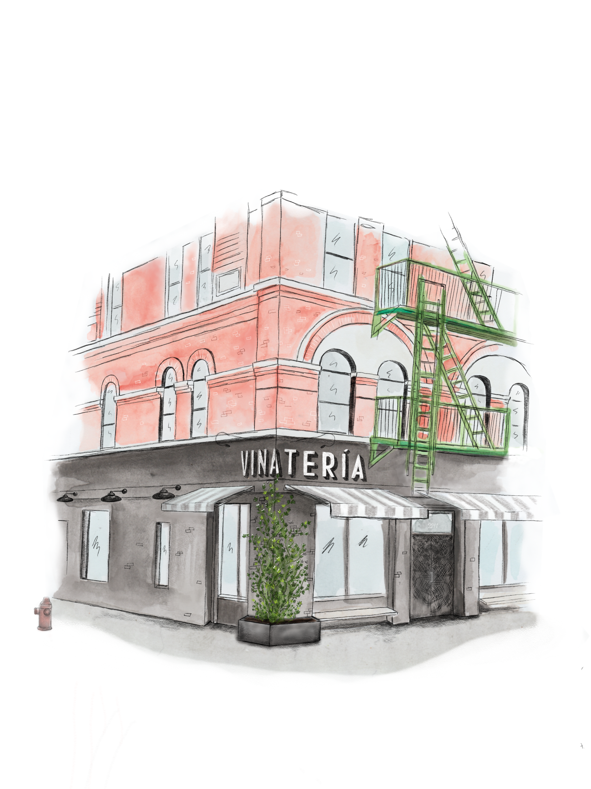 A sketch of a building with a storefront named "VINATERÍA" and a green fire escape on the side, featuring arched windows and a small potted plant outside.