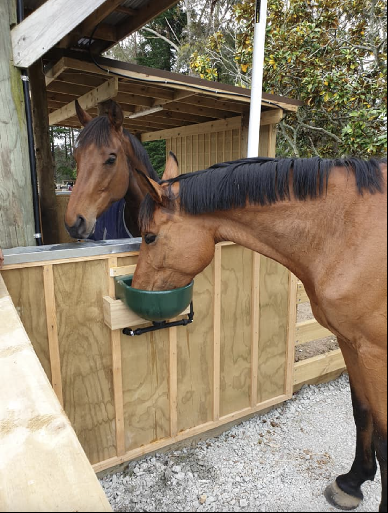 Screenshot 2025-11-03 at 11.46.20 AM.png