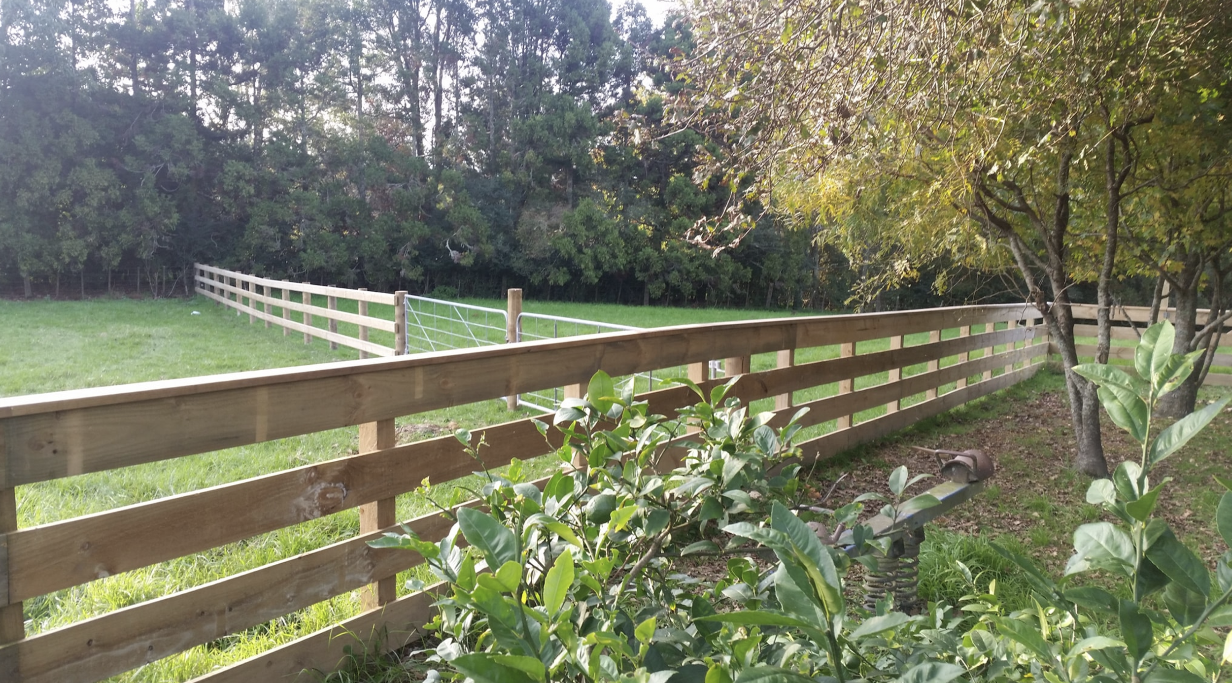 Screenshot 2025-11-03 at 3.28.40 PM.png