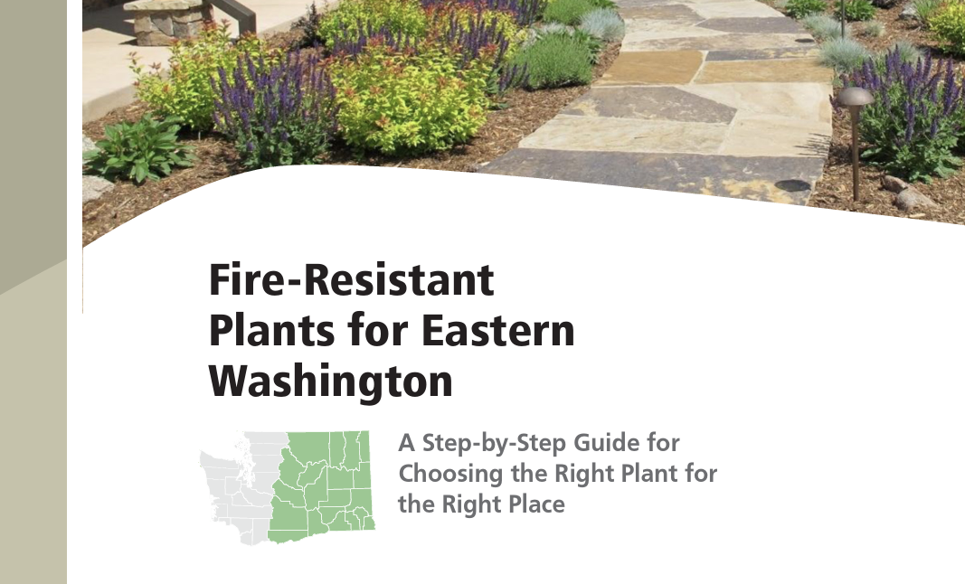 Fire-Resistant Plants for Eastern Washington