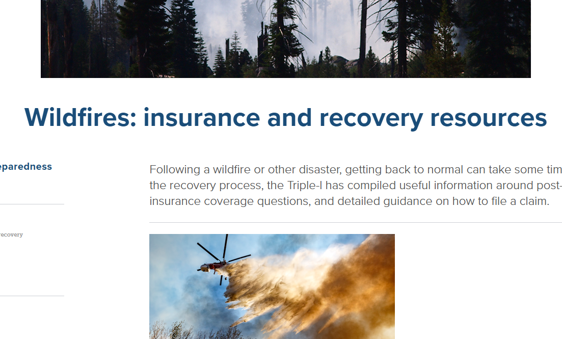 Insurance and wildfire recovery