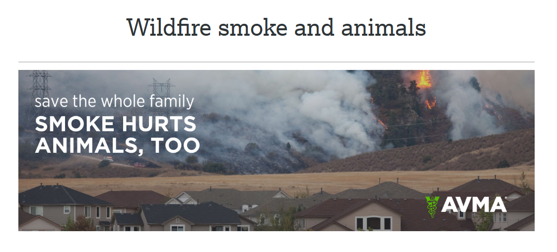 Wildfire Smoke &amp; Animals