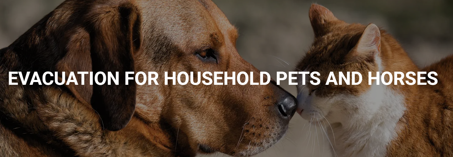 Evacuation for Household Pets and Horses