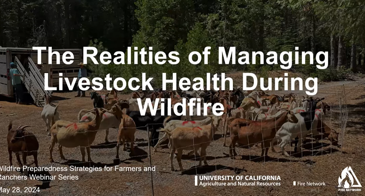 Video: Managing Livestock Health During Wildfire