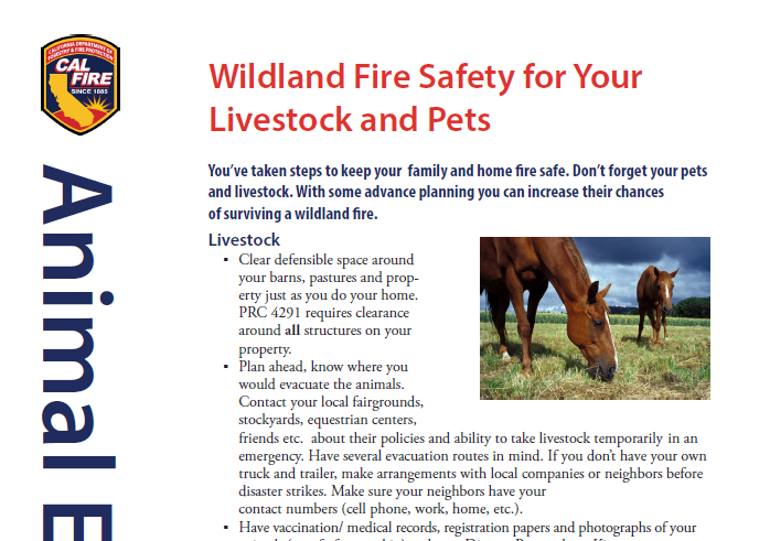 Animal Evacuation Information