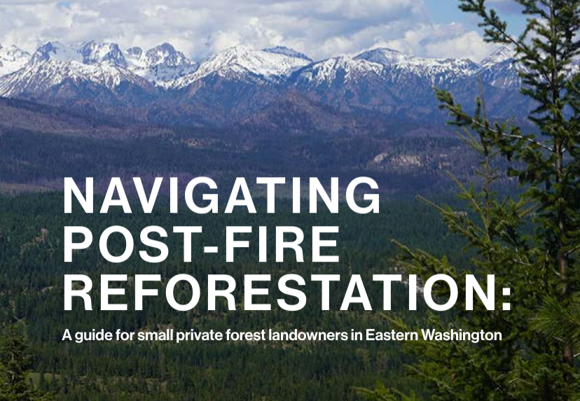 Navigating Post-Fire Reforestation in Eastern Washington