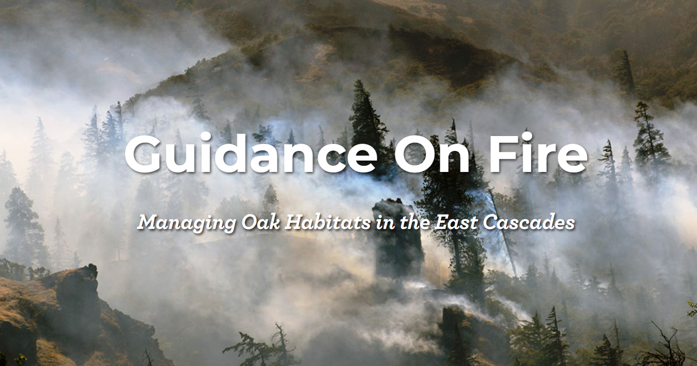 Managing Oak Habitats: Guidance on Fire (East Cascades Oak Partnership)