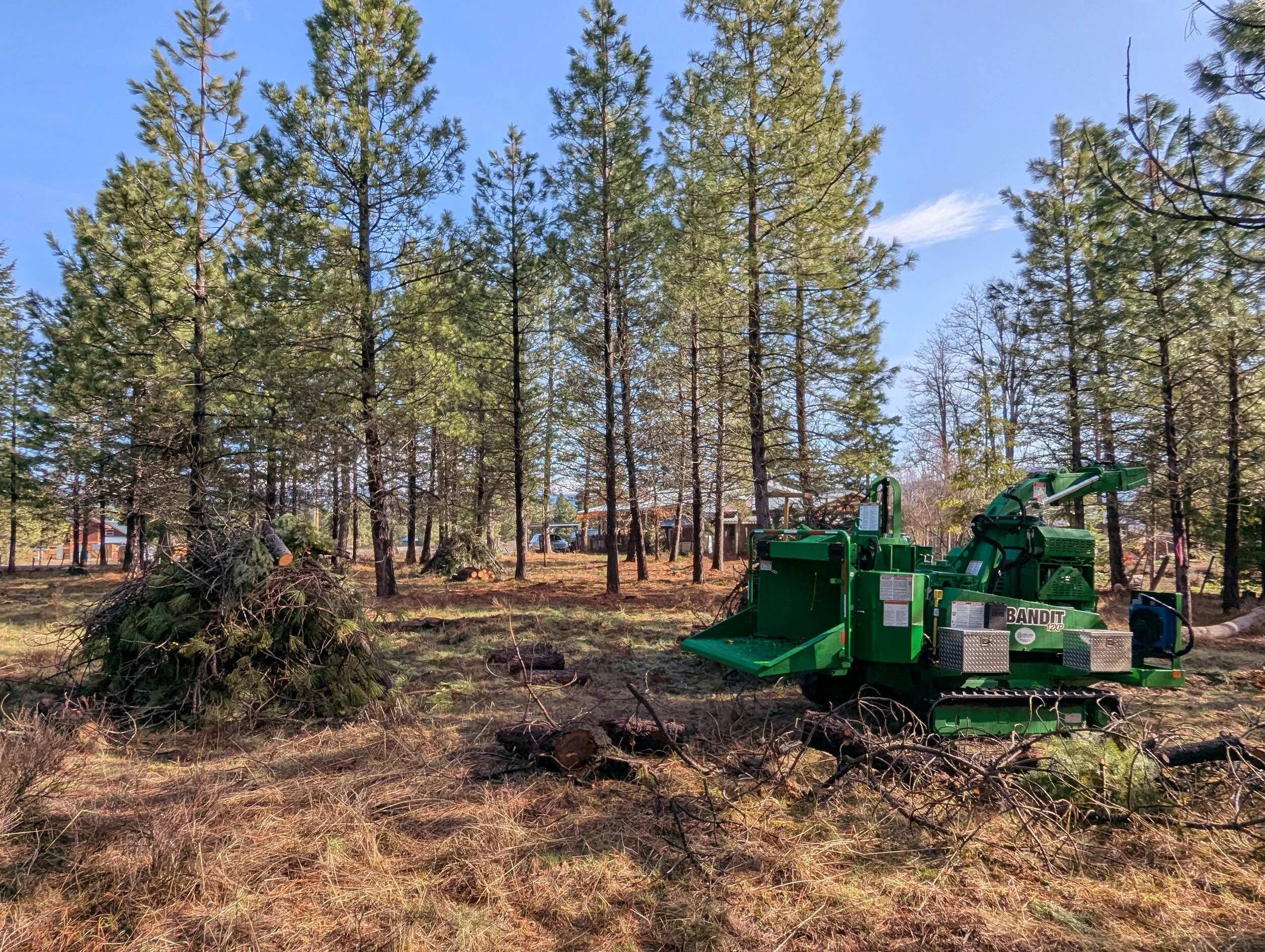 Fuel break in Trout Lake (Image: Mt. Adams Resource Stewards)