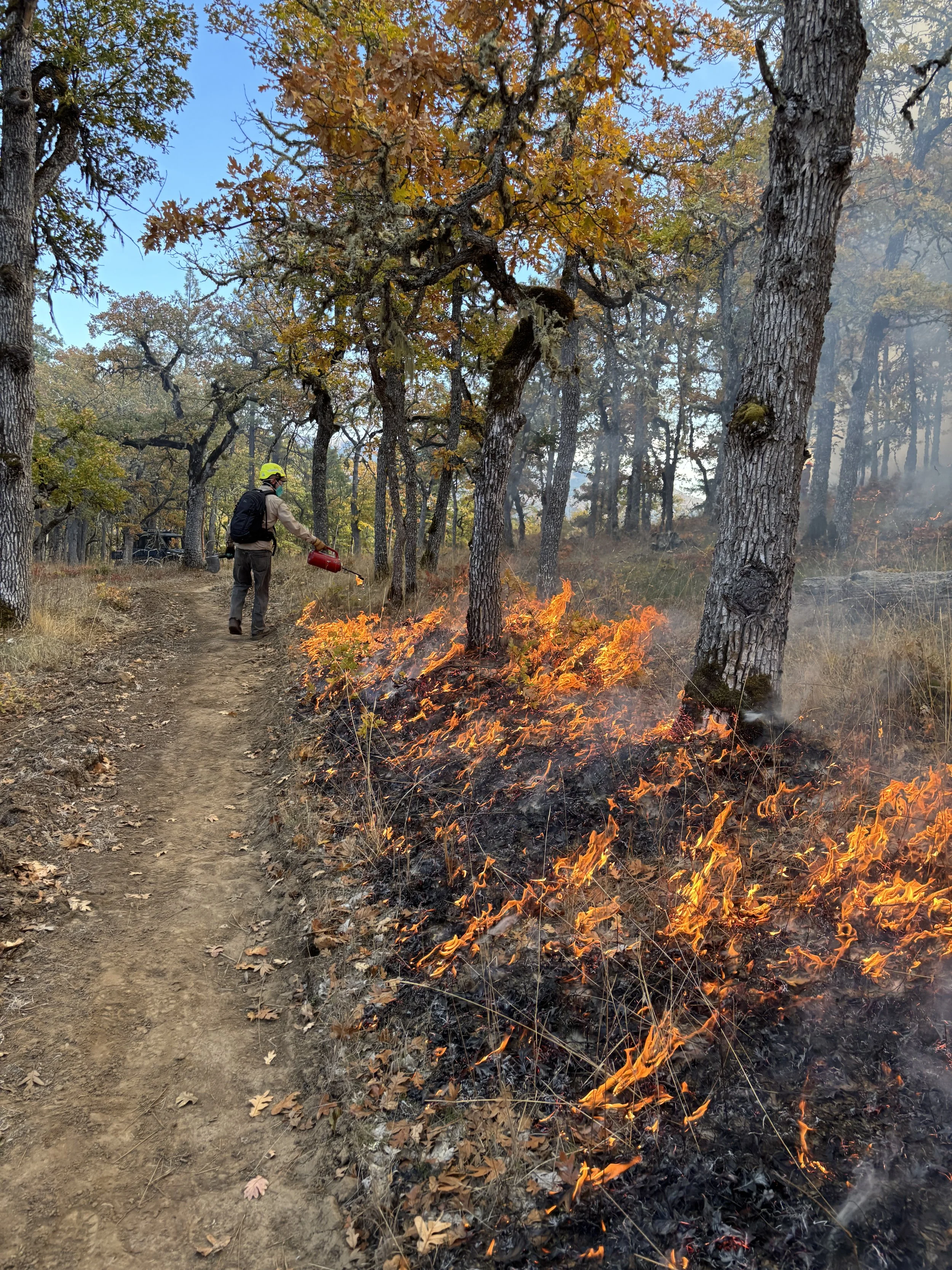 Prescribed burn in Lyle (Image: Mt. Adams PBA)