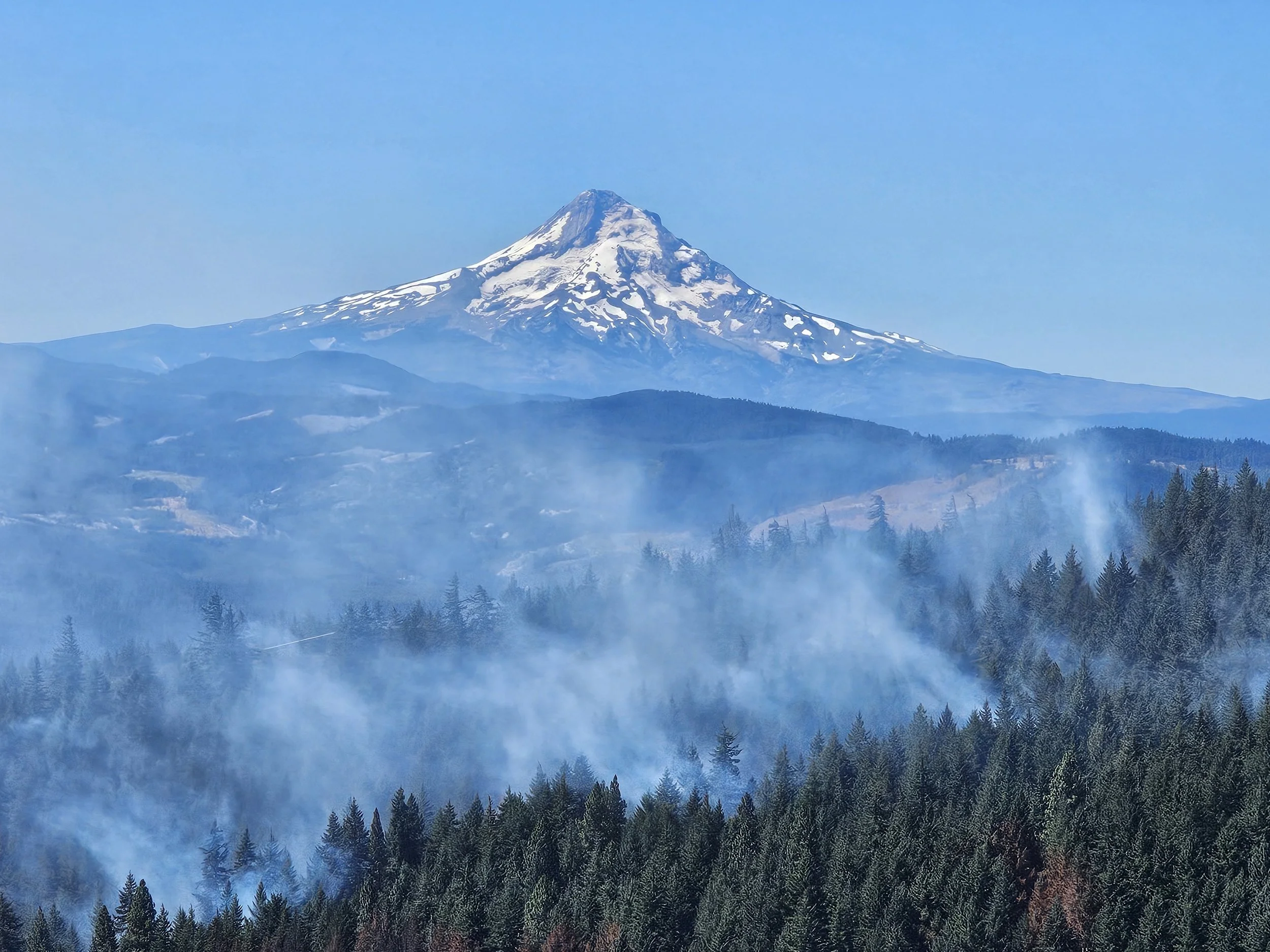 Burdoin Fire (Image: Carmen Knopes)