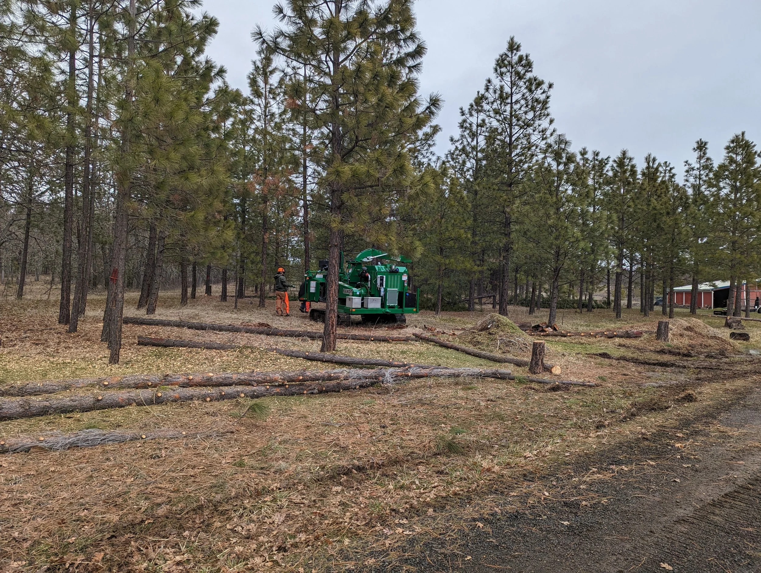 Fuels reduction in Goldendale (Image: Central Klickitat Conservation District)