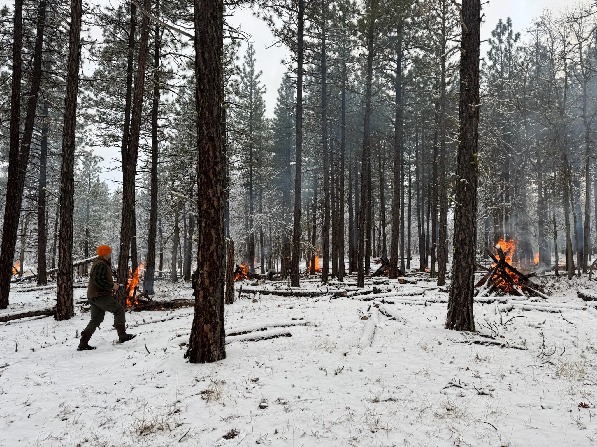 Pile burning in Goldendale (Image: Columbia Land Trust)
