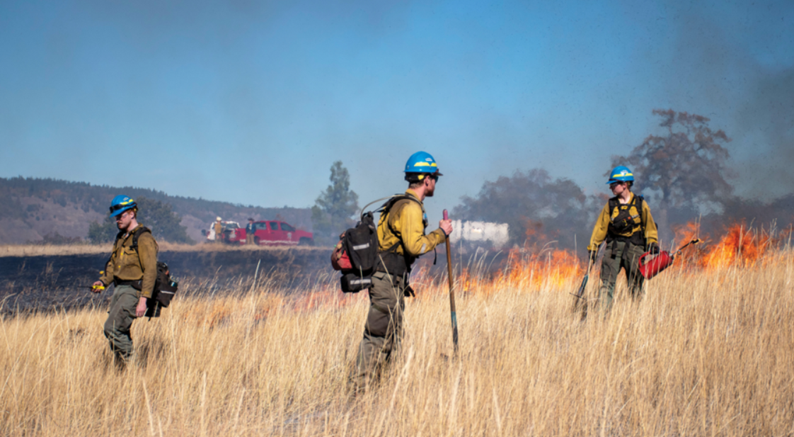 Prescribed burn in High Prairie (Image: Nathan Wilson)