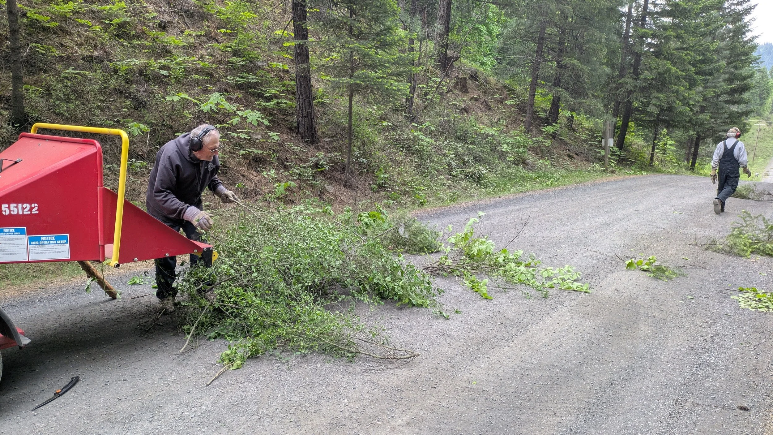 Roadside fuels reduction work near Husum (Image: Rainer Hummel)