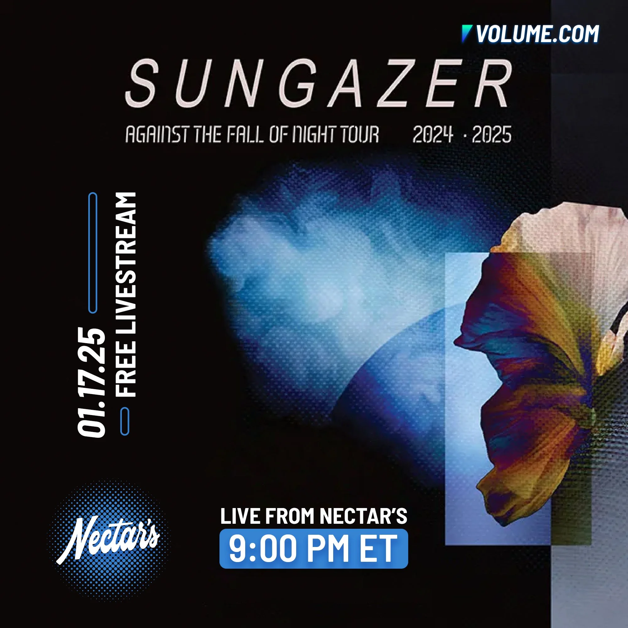 Sungazer_SQ copy.jpg